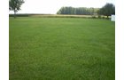 Property photo 27 - 75+/- Acres in 9 Tracts